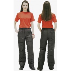 Брюки "ЕВРОПА" утепленные Брюки "ЕВРОПА" утепленные